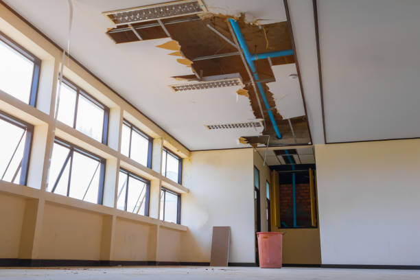 Best Flood damage cleanup  in Dana, NC