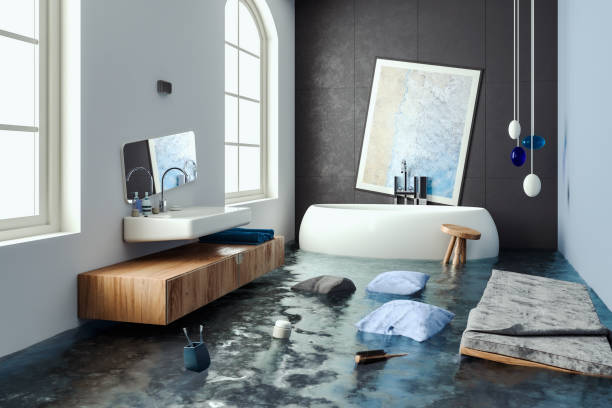 Best Flooded house restoration  in Dana, NC