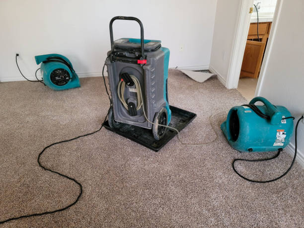 Best Flood restoration services  in Dana, NC