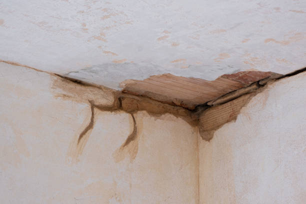 Best Emergency water damage restoration  in Dana, NC