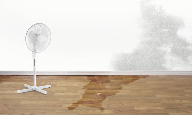 Best 24-hour water damage restoration  in Dana, NC