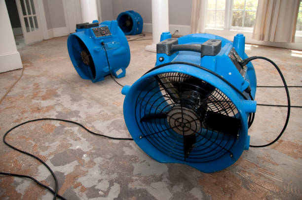 Best Water damage contractors near me  in Dana, NC