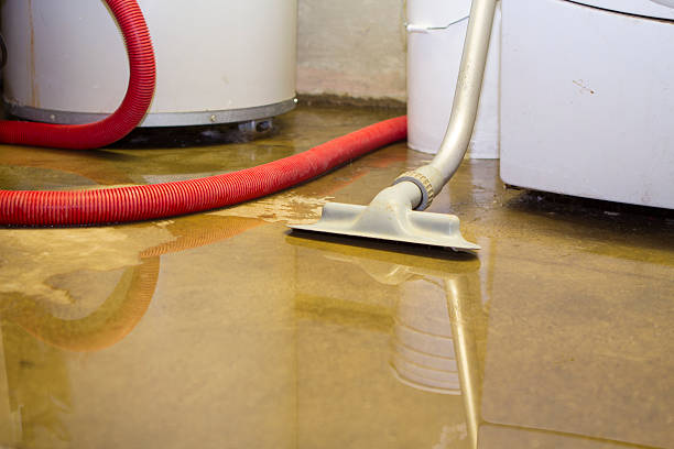 Best Commercial water damage restoration  in Dana, NC