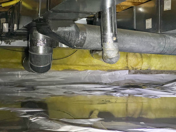 Best Commercial water damage restoration  in Dana, NC